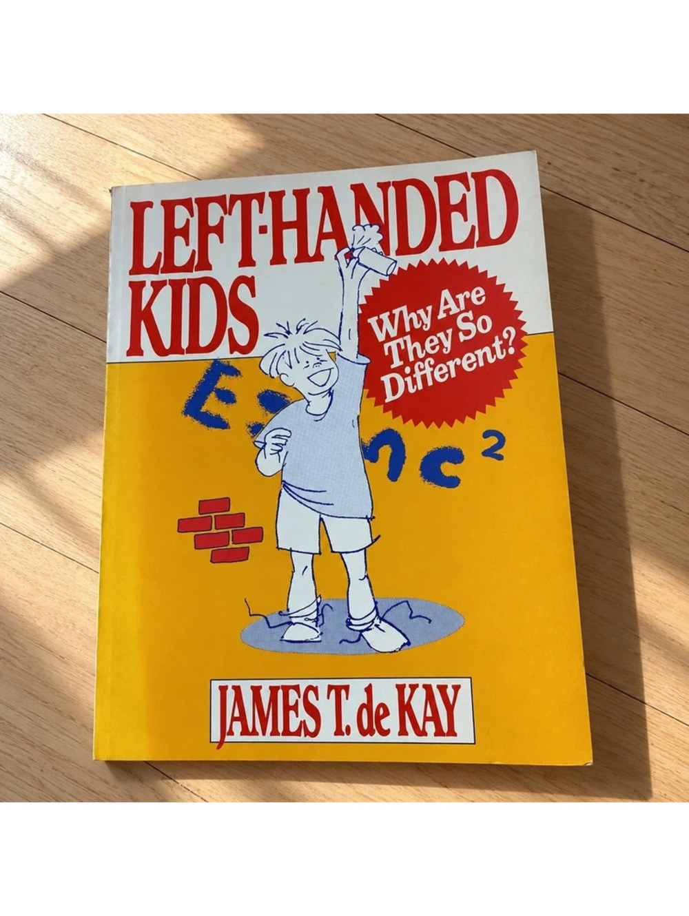 Left-Handed Kids James T deKay 1989 Vintage 1st Edition Parenting Paperback